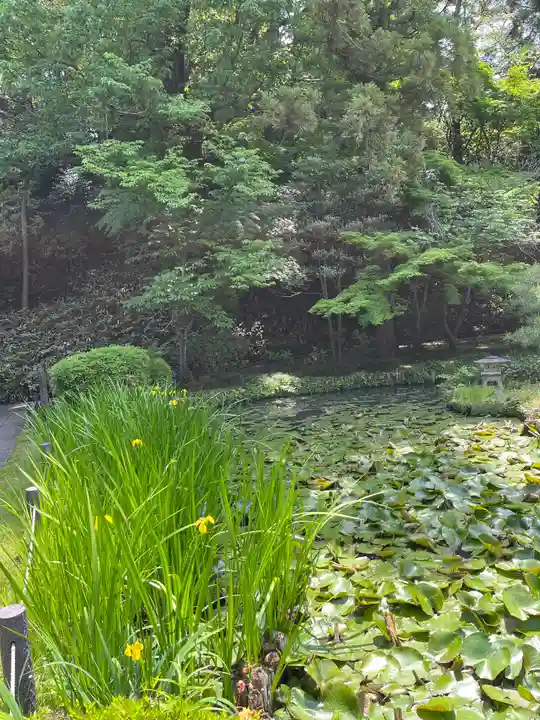 天台宗 長窪山 正覚寺の自然
