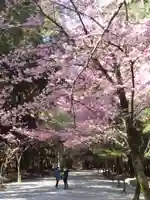 近江神宮の自然