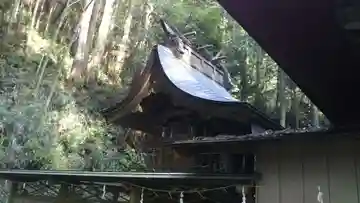 鹿島神社の本殿・本堂