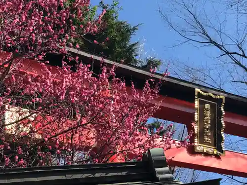 馬橋稲荷神社の鳥居