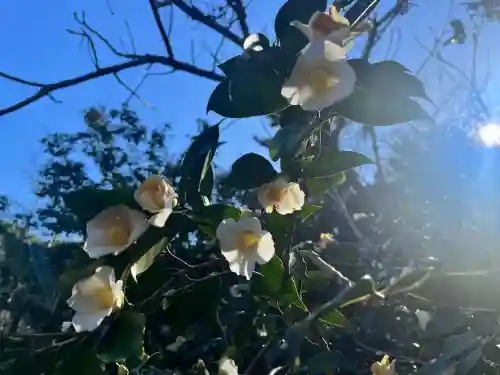 奈良縣護國神社(奈良県)