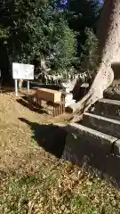 酒門神社(茨城県)