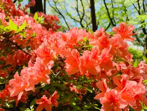 滑川神社 - 仕事と子どもの守り神の周辺