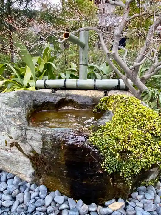 妙智院(京都府)