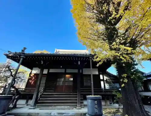 正徳寺の本殿・本堂