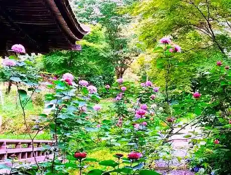 国宝　長寿寺の自然