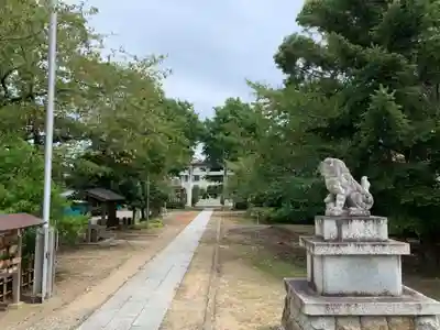 茂原八幡神社の狛犬