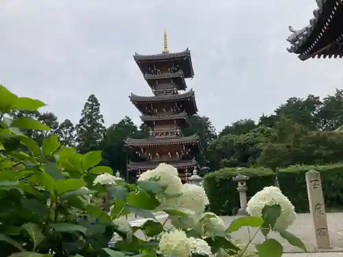 長慶寺(大阪府)