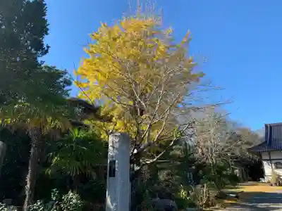 円寿寺(千葉県)