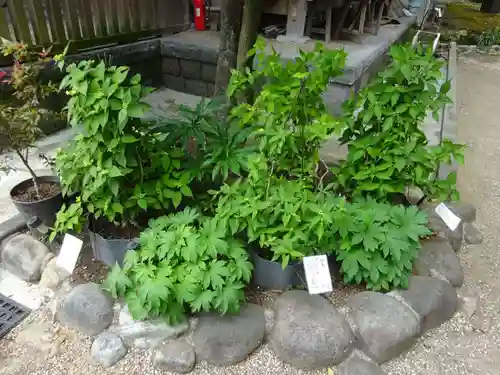 瀬戸神社の庭園