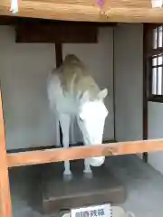 小垣江神明神社の狛犬