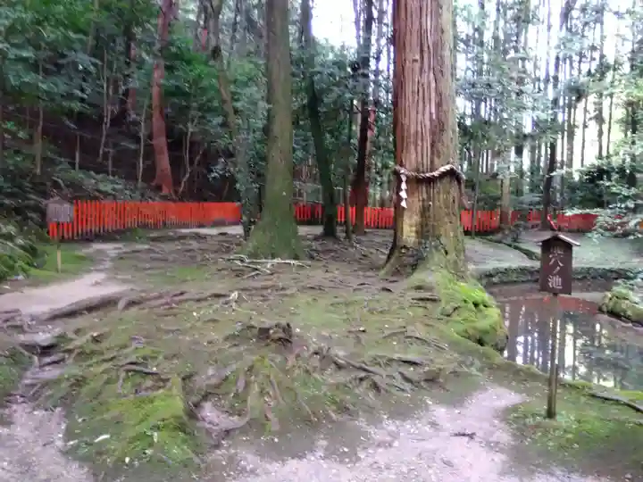 八大龍王社(滋賀県)