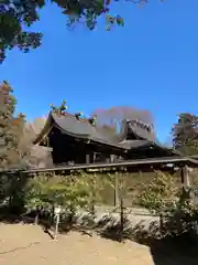 鷲宮神社(埼玉県)