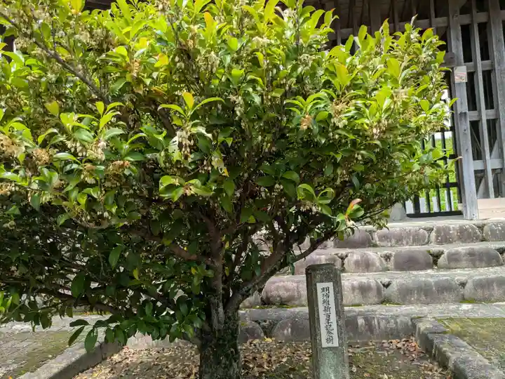 八幡神社・南宮神社(岐阜県)