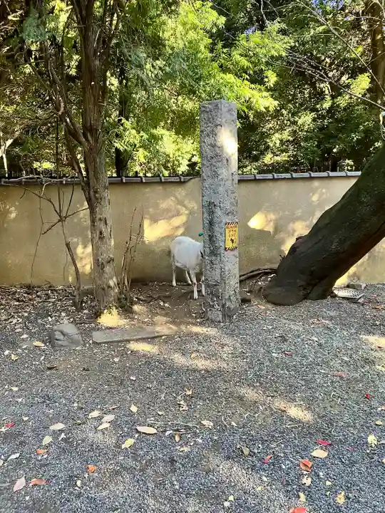 水稲荷神社(東京都)