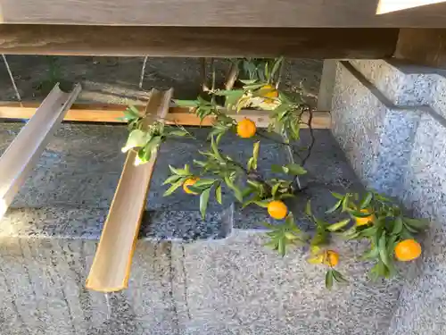 進雄神社(群馬県)