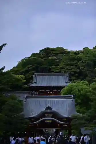 鶴岡八幡宮(神奈川県)