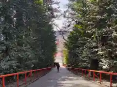 大崎八幡宮の建物その他