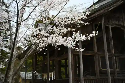 蒼柴神社(新潟県)