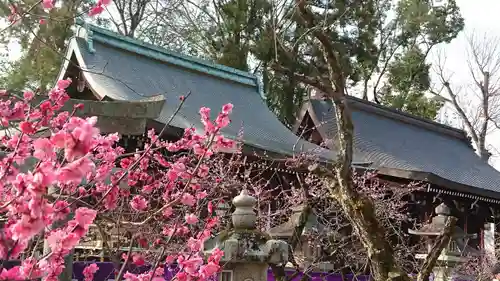 北野天満宮の自然