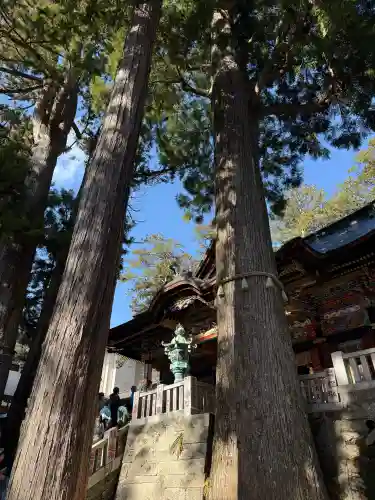 三峯神社の{uncategorized: "未分類", other: "その他", undefined: "問題あり", building: "その他建物", grave: "お墓", sacred_gate: "鳥居", guardian: "狛犬", statue: "像", buddha: "仏像", history: "歴史", nature: "自然", garden: "庭園", animal: "動物", pagoda: "塔", temizu: "手水舎", mountain_gate: "山門・神門", sanctuary: "本殿・本堂", subordinate: "末社・摂社", art: "芸術", scenery: "景色", jizo: "地蔵", ema: "絵馬", goshuin: "御朱印", omikuji: "おみくじ", items: "授与品その他", amulet: "お守り", goshuincho: "御朱印帳", eats: "食事", festival: "お祭り", votive_dance: "神楽", shichigosan: "七五三参", wedding: "結婚式", experience: "体験その他", initially: "初詣", around: "周辺", anti_infection: "感染症対策"}