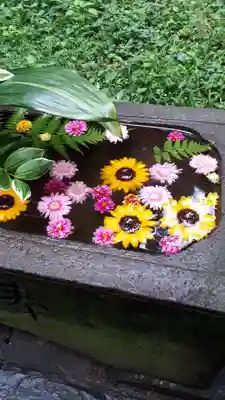 前玉神社の手水舎