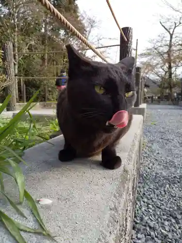 南禅寺(京都府)