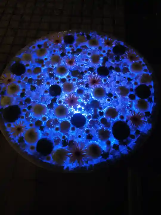 行田八幡神社(埼玉県)