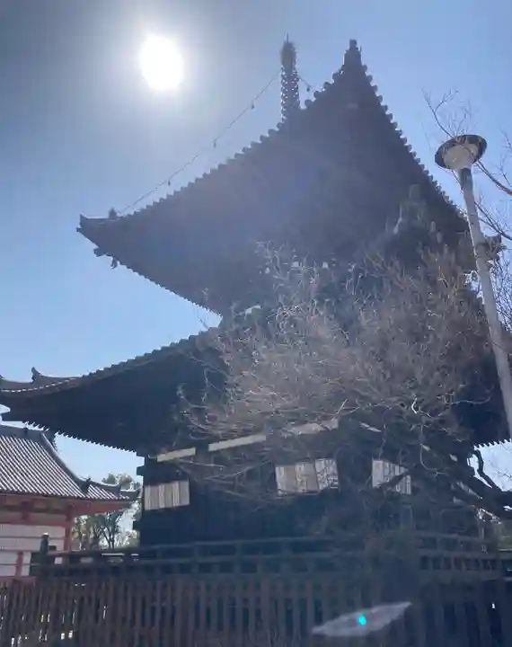 愛染堂勝鬘院の塔