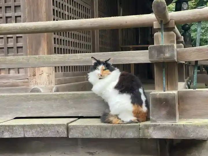 小坂神社(石川県)