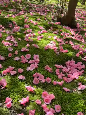 霊鑑寺門跡(京都府)