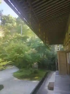 圓光寺の{uncategorized: "未分類", other: "その他", undefined: "問題あり", building: "その他建物", grave: "お墓", sacred_gate: "鳥居", guardian: "狛犬", statue: "像", buddha: "仏像", history: "歴史", nature: "自然", garden: "庭園", animal: "動物", pagoda: "塔", temizu: "手水舎", mountain_gate: "山門・神門", sanctuary: "本殿・本堂", subordinate: "末社・摂社", art: "芸術", scenery: "景色", jizo: "地蔵", ema: "絵馬", goshuin: "御朱印", omikuji: "おみくじ", items: "授与品その他", amulet: "お守り", goshuincho: "御朱印帳", eats: "食事", festival: "お祭り", votive_dance: "神楽", shichigosan: "七五三参", wedding: "結婚式", experience: "体験その他", initially: "初詣", around: "周辺", anti_infection: "感染症対策"}