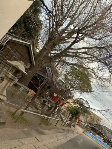 天御中主神社の建物その他