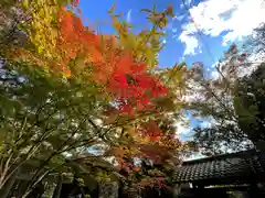 蓮華寺（洛北蓮華寺）(京都府)