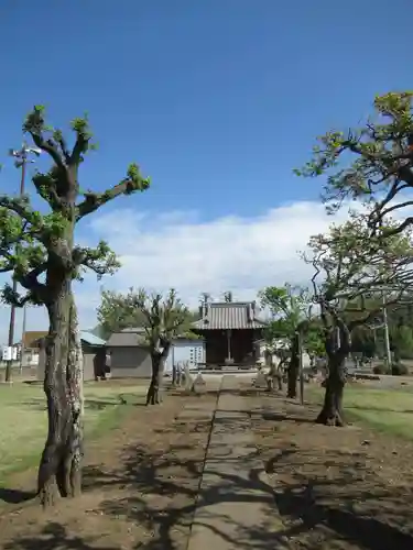 東金野井　天神社(千葉県)