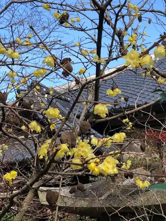 元三大師安楽寺の自然