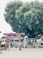 豊玉神社遥拝所(中社跡)(三重県)