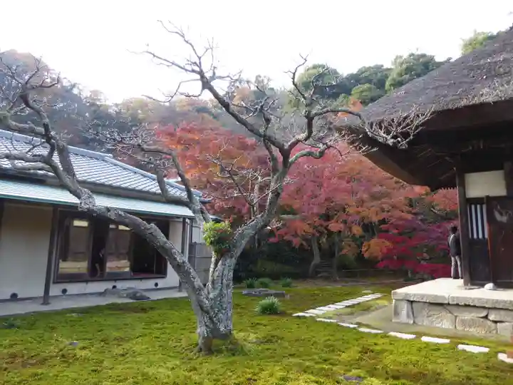 東慶寺(神奈川県)