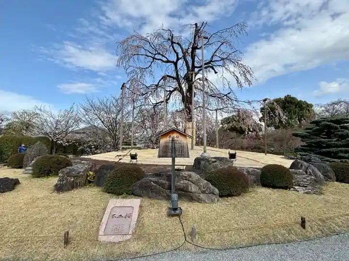 東寺(教王護国寺)の自然