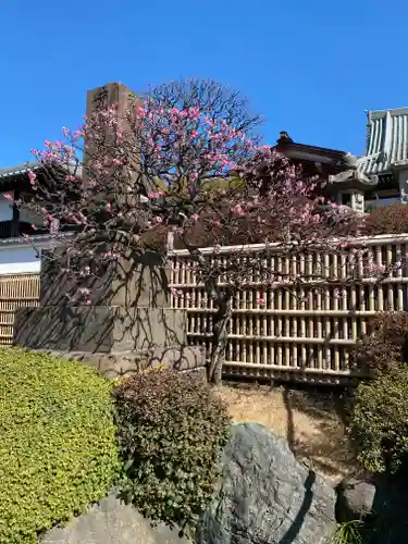 妙蓮寺(神奈川県)