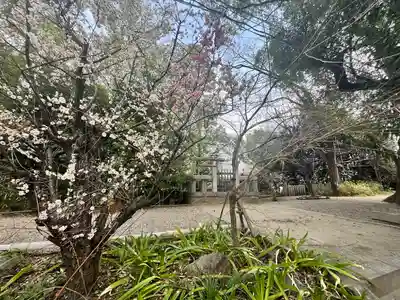 杭全神社(大阪府)