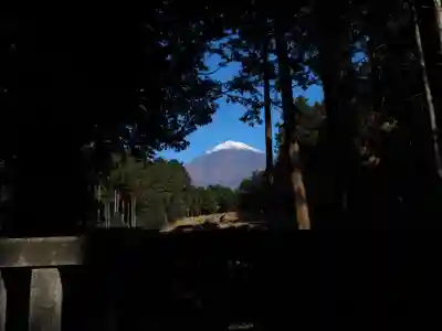 山宮浅間神社の本殿・本堂