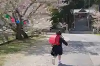 川田八幡神社(徳島県)