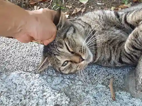 海南神社(神奈川県)
