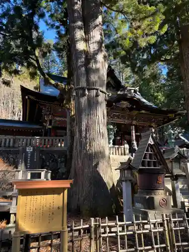 三峯神社(埼玉県)