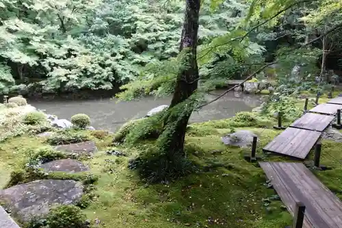 蓮華寺（洛北蓮華寺）の庭園