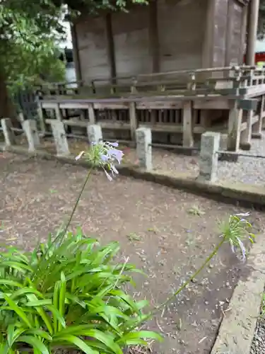 玉前神社(千葉県)
