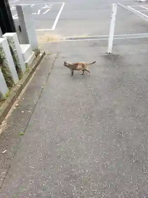成田山新勝寺(千葉県)