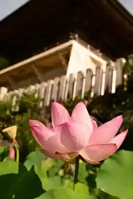 定福寺(高知県)