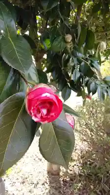 来迎寺(福島県)